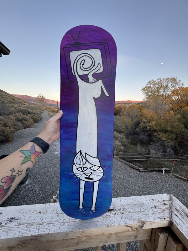 White cat deck held up against a sunset