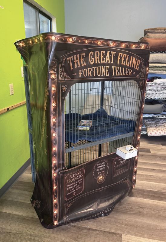 Fortune telling cat banner for the Cat Cafe fundraiser
