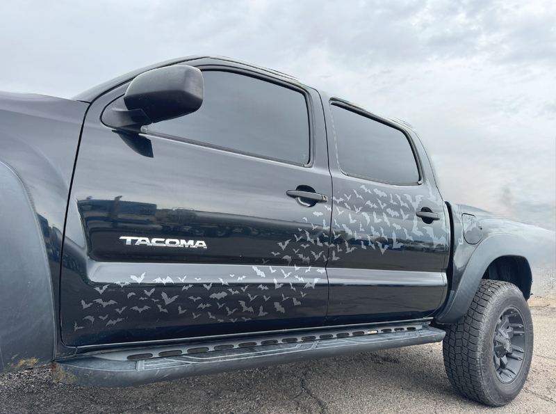 Black Toyota Tacoma, driver side, with a flock of metallic cut-vinyl bats flying across the doors