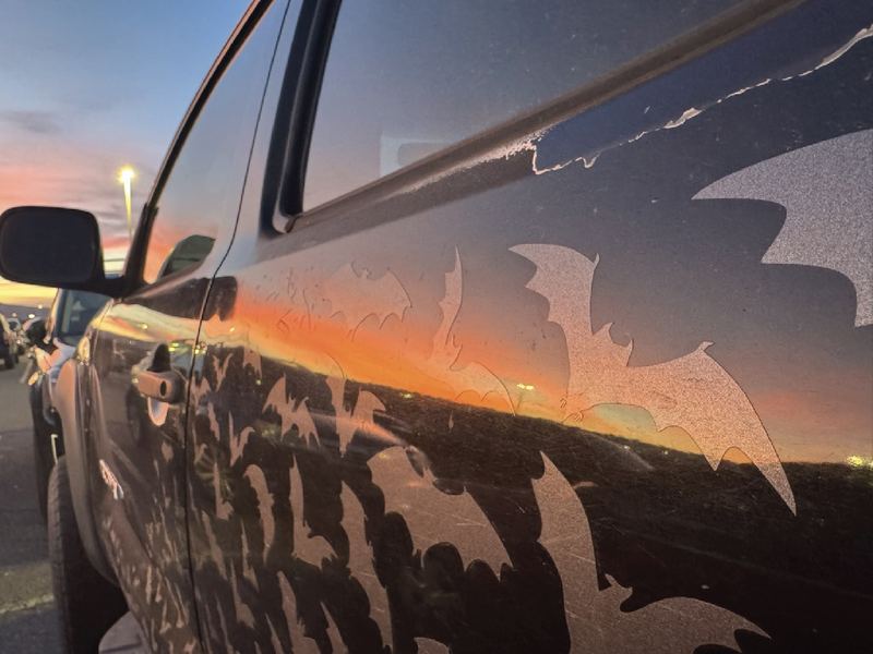 Close-up of a black truck door at sunset covered in individually cut metallic bat decals