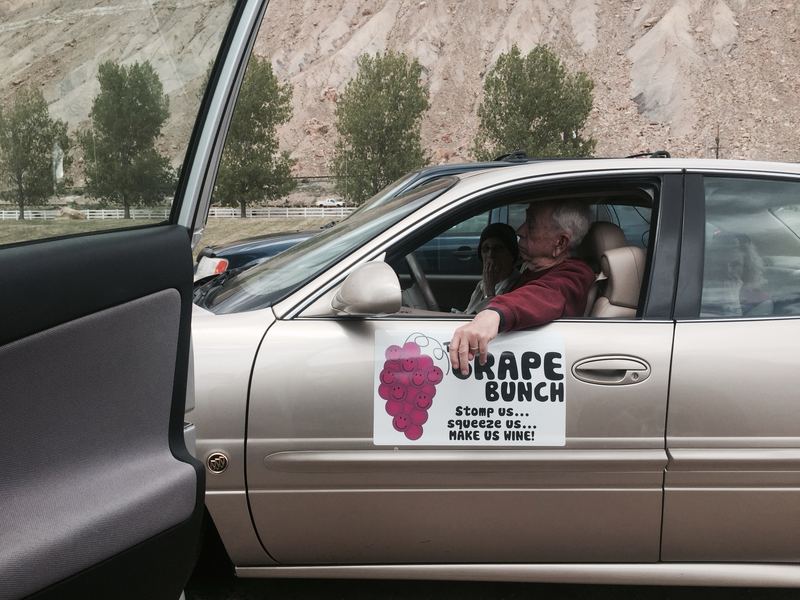 White magnet on a car door showing a smiley grape bunch and the words The Grape Bunch, Stomp us, squeeze us, make us wine