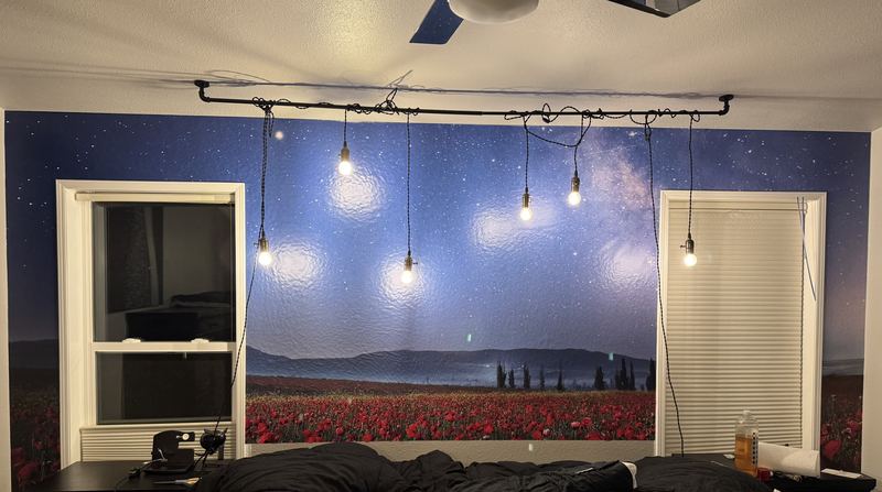 Bedroom wall covered by a mural of a starry night sky over a field of red poppies, with bare-bulb lights hanging in front